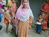 Alim2546